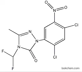 Molecular Structure of 111992-17-7 (2-(2,4-Dichloro-5-nitrophenyl)-4-(difluoromethyl)-2,4-dihydro-5-methyl-3H-1,2,4-triazol-3-one)